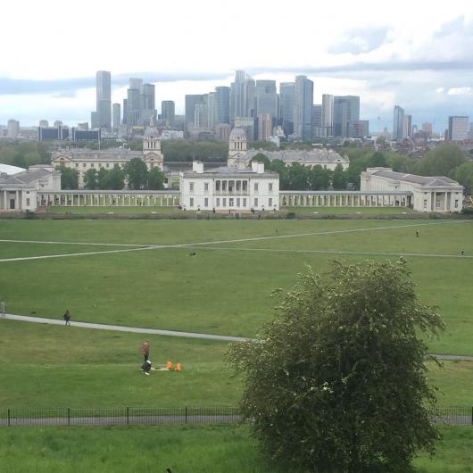 Environmental Policy & Management